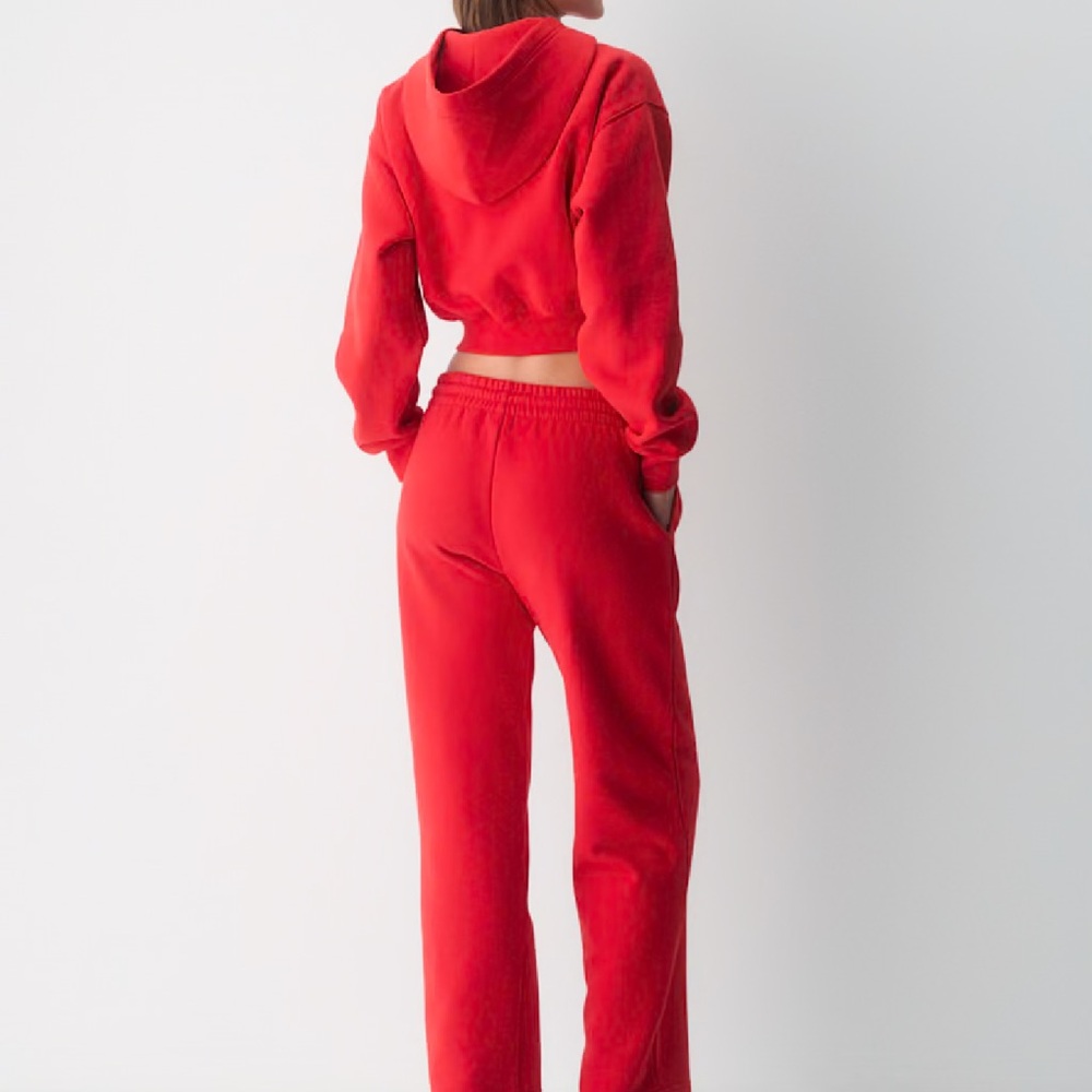 Aritzia Red Track Pants - Picture 2 of 12